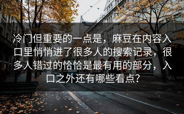 冷门但重要的一点是，麻豆在内容入口里悄悄进了很多人的搜索记录，很多人错过的恰恰是最有用的部分，入口之外还有哪些看点？