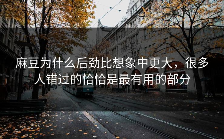 麻豆为什么后劲比想象中更大，很多人错过的恰恰是最有用的部分