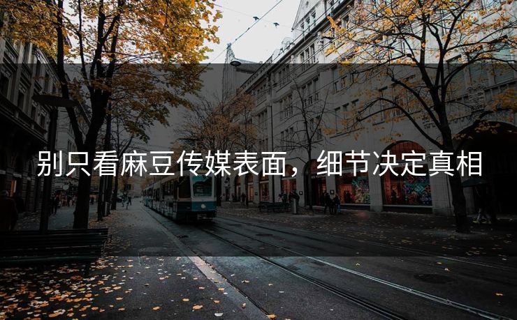 别只看麻豆传媒表面，细节决定真相