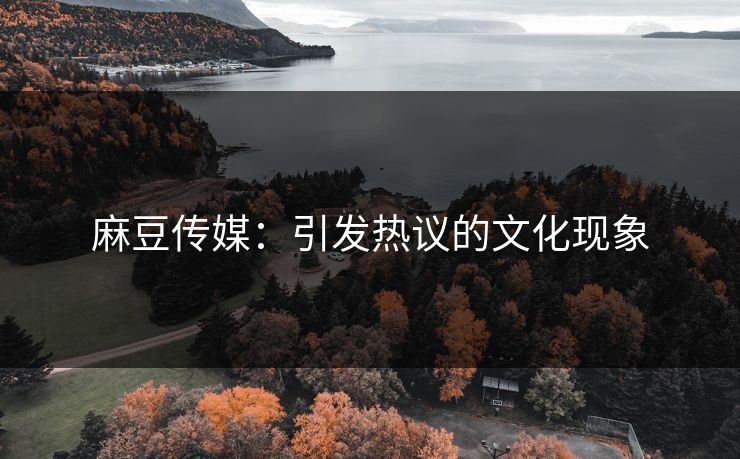 麻豆传媒：引发热议的文化现象