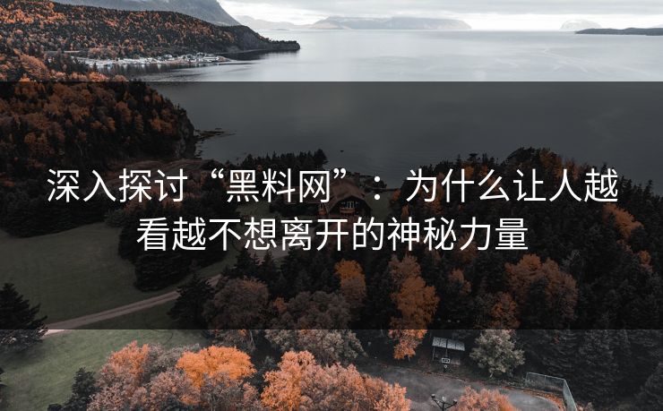 深入探讨“黑料网”：为什么让人越看越不想离开的神秘力量