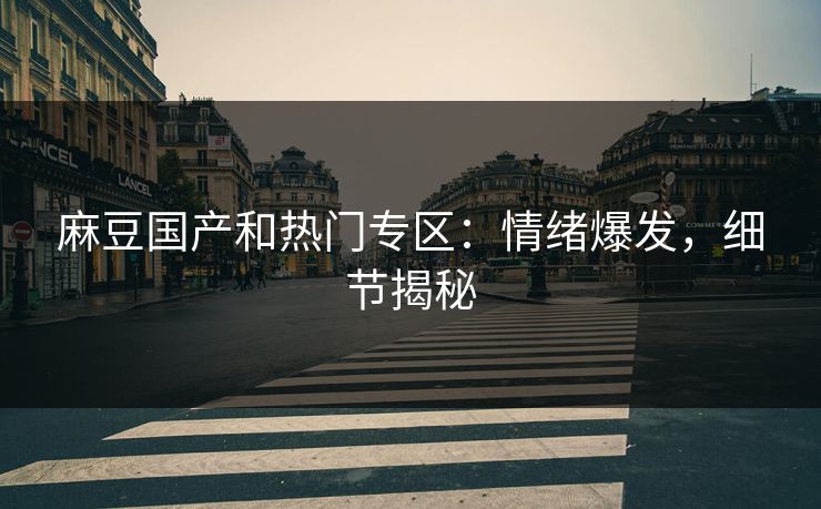 麻豆国产和热门专区：情绪爆发，细节揭秘