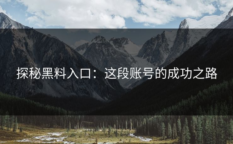 探秘黑料入口：这段账号的成功之路