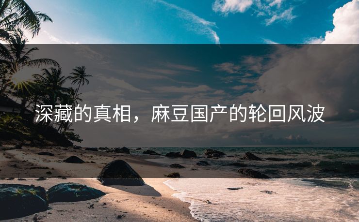 深藏的真相，麻豆国产的轮回风波
