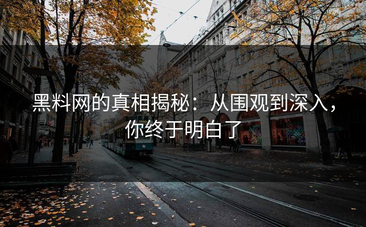 黑料网的真相揭秘：从围观到深入，你终于明白了