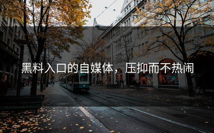 黑料入口的自媒体，压抑而不热闹