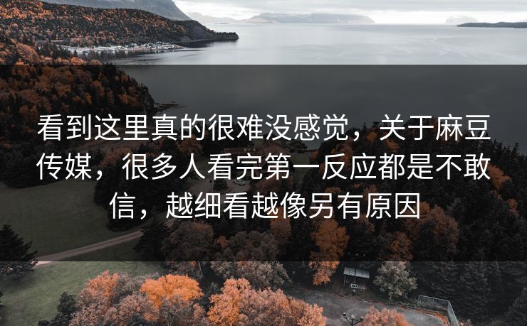看到这里真的很难没感觉，关于麻豆传媒，很多人看完第一反应都是不敢信，越细看越像另有原因