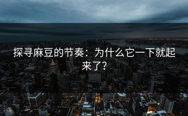 探寻麻豆的节奏：为什么它一下就起来了？