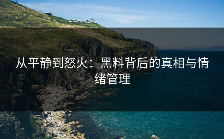 从平静到怒火：黑料背后的真相与情绪管理