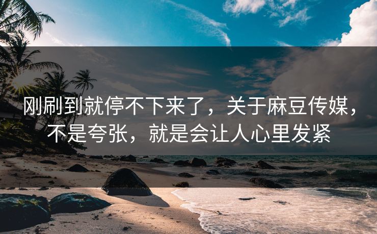 刚刷到就停不下来了，关于麻豆传媒，不是夸张，就是会让人心里发紧