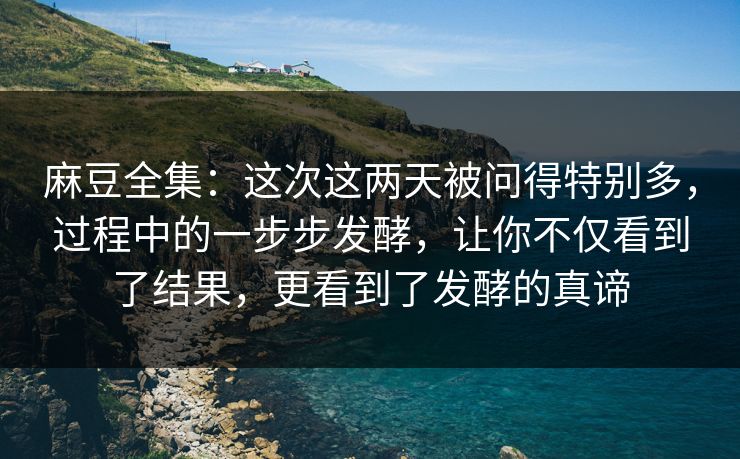 麻豆全集:这次这两天被问得特别多,过程中的一步步发酵,让你不仅看到了结果,更看到了发酵的真谛 麻豆全集:这次这两天被问得特别多,过程中的一步步发酵,让你不仅看到了结果,更看到了发酵的真谛